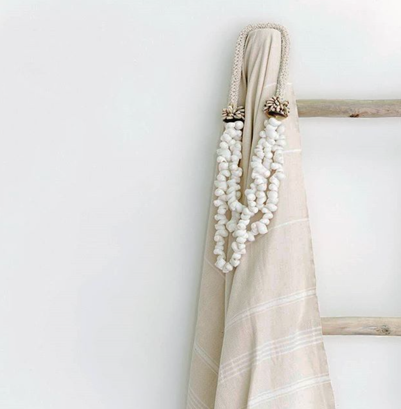 Hanging Shell Necklace