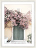 Bougainvillea A Framed Print