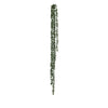 Hanging Green Pearls